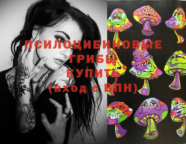 молекула духа Бугульма