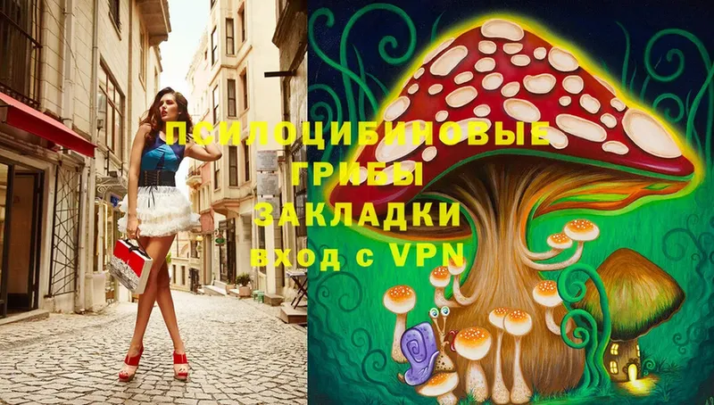 купить наркотик  Новоузенск  Галлюциногенные грибы MAGIC MUSHROOMS 